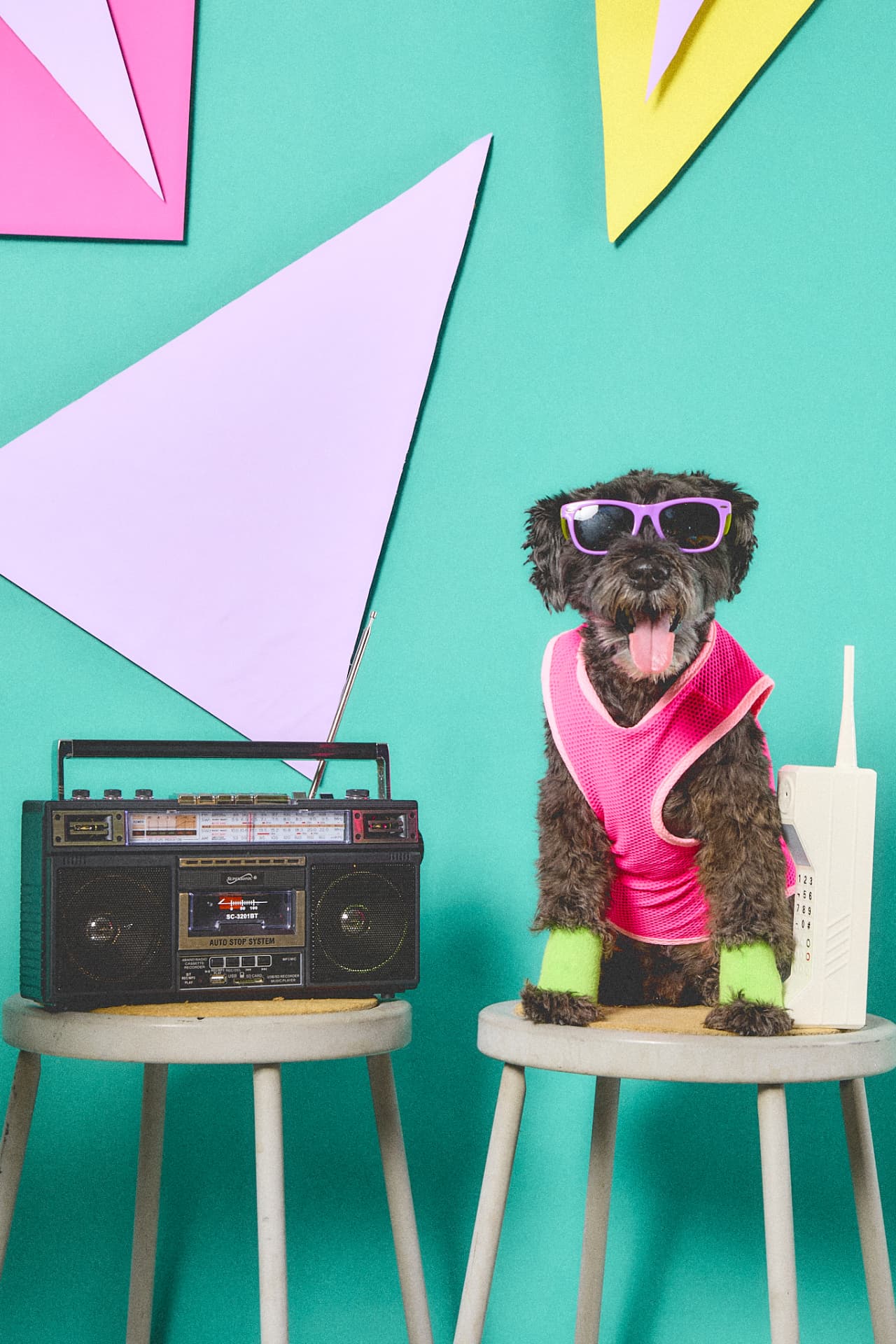 Schnauzer in neon pink tank top next to a boombox