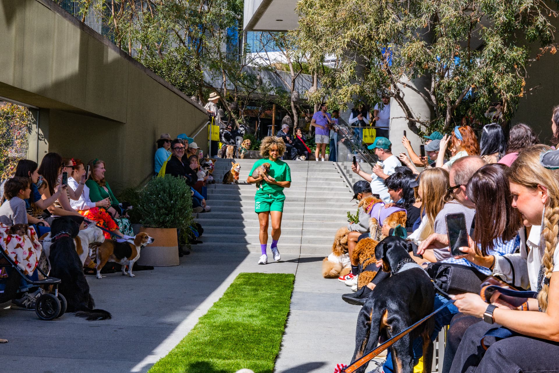Model walking the WUF runway with a small dog in her arms