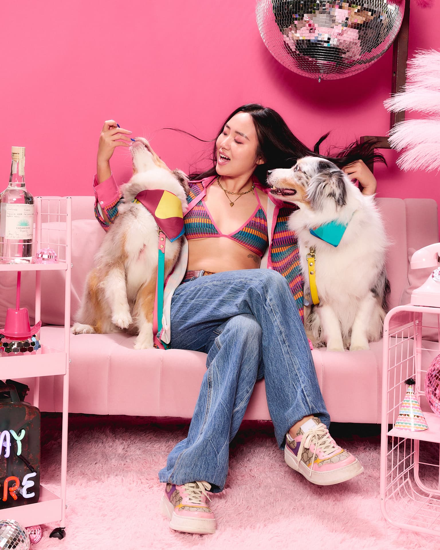 Pet parent laughing with two Australian shepherds on a pink couch