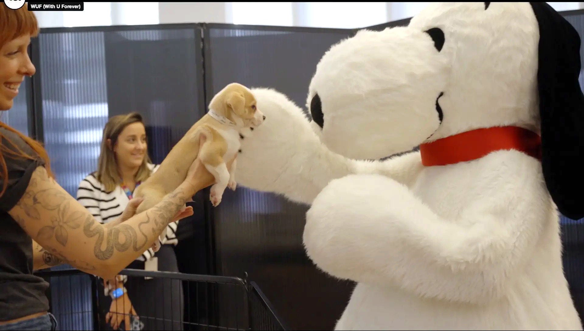 Snoopy mascot greeting a puppy held up by a shelter volunteer at the Paramount Pet Town Hall